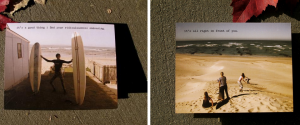 dani press comp