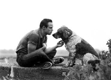 Art_Shay_Marlon_Brando_and_family_dog_Libertyville_IL_2055_67