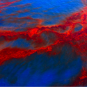 Deepwater Horizon spill - oil on Gulf