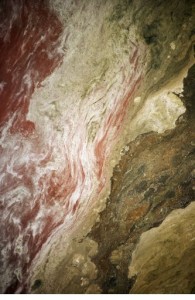 hog fecal waste lagoon