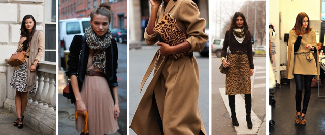 neutrals and leopard