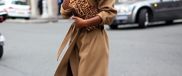 camel and leopard