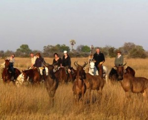 African Horseback Safaris