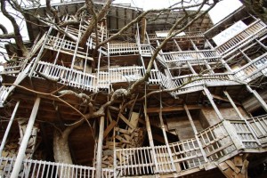 Ministers Tree House Front Photograph