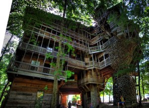 Ministers Treehouse Panorama
