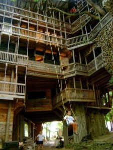 Minsters Treehouse Awesome Swing