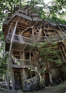 ministers-treehouse2