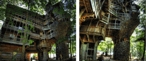 treehouse