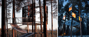 treehotel