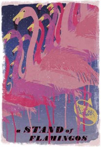 FLAMINGOS S