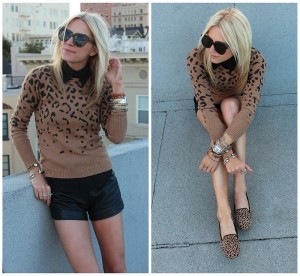 leopard